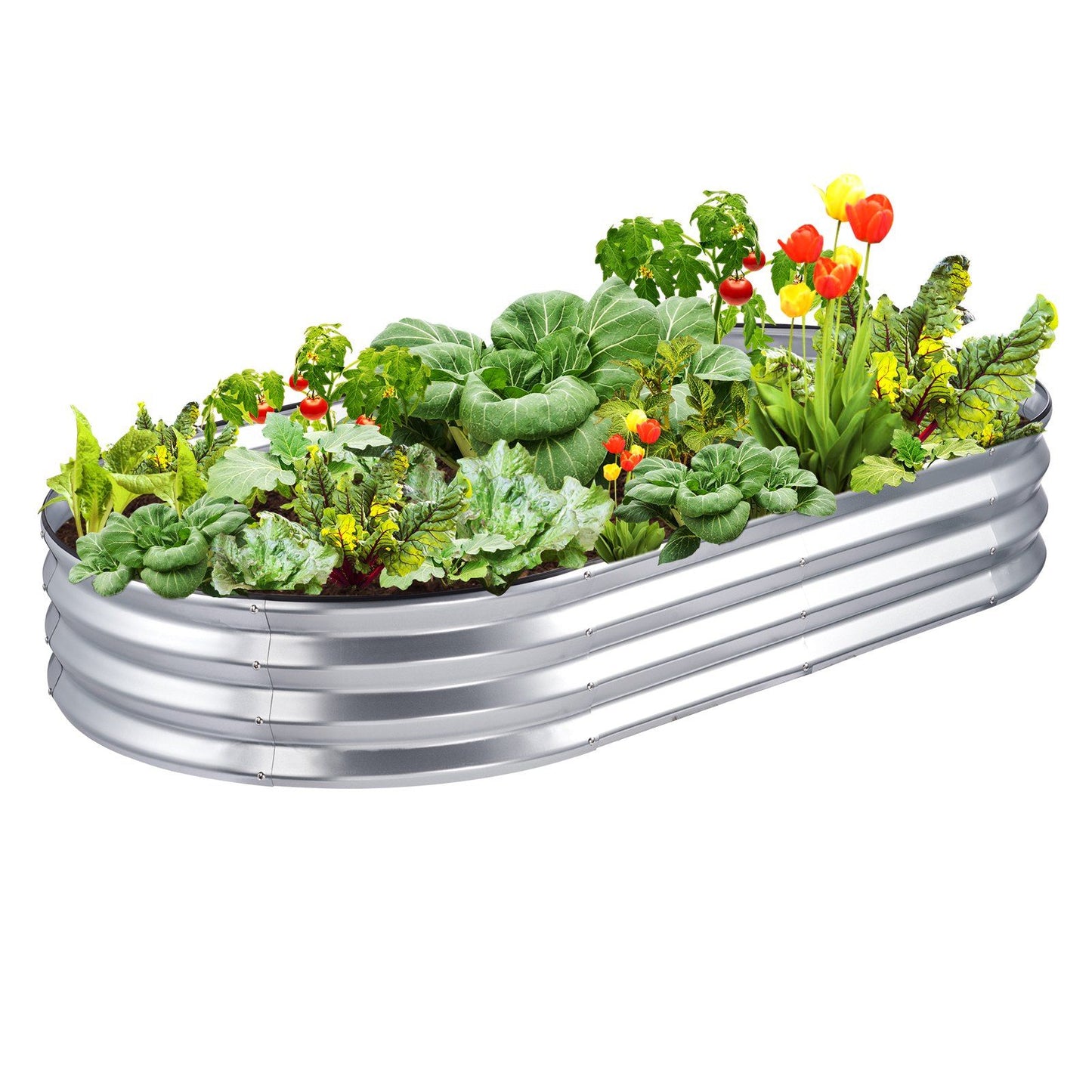 VEVOR Raised Garden Bed, 70.9x35.4x11 inch Galvanized Metal Planter Box, Outdoor Planting Boxes with Open Base, for Growing Flowers/Vegetables/Herbs in Backyard/Garden/Patio/Balcony, Silver