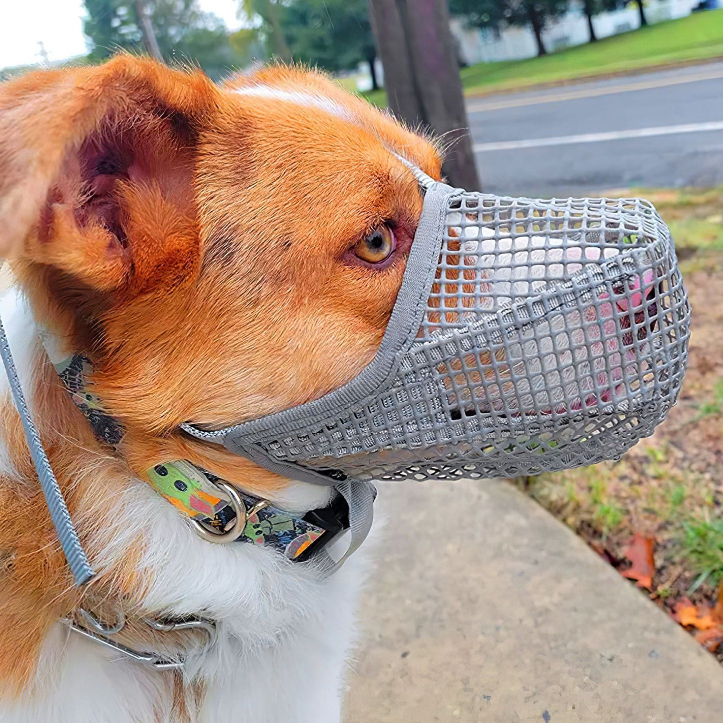 Pet Muzzle Mask Soft Mesh Muzzle Adjustable Dog Mouth Cover with Breathable Mesh Adjustable Neck Forehead Strap