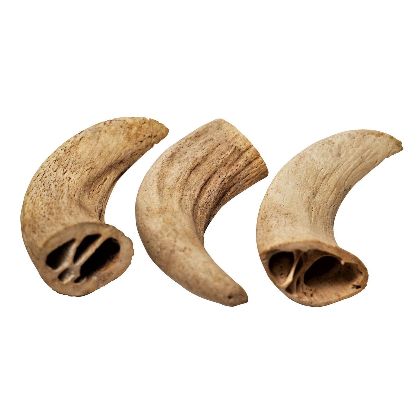 Water Buffalo Horn Core-Horn Inner Part-100% Natural;  High Protein;  Long-Lasting;  Grain-Free;  Gluten-Free;  Low-Fat;  Dog Dental Treats & Chews-2 COUNT-10 oz