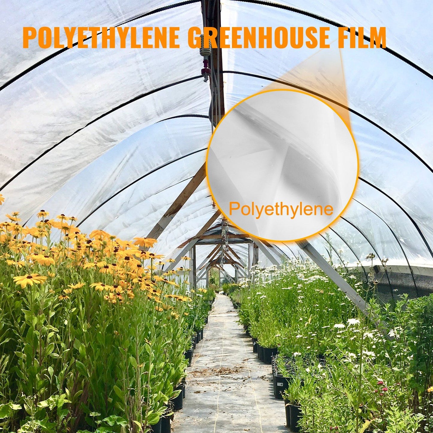 VEVOR Greenhouse Film 24 x 50 ft, Greenhouse Polyethylene Film 6 Mil Thickness, Greenhouse Plastic Greenhouse Clear Plastic Film UV Resistant, Polyethylene Film Keep Warming, Superior Strength