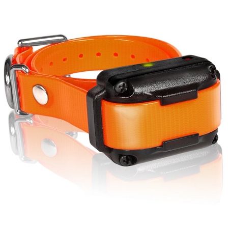 Dogtra iQ Plus Additional Receiver Orange Strap